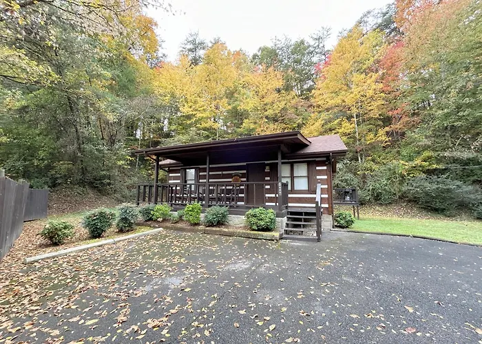 Tucked Away Cabin